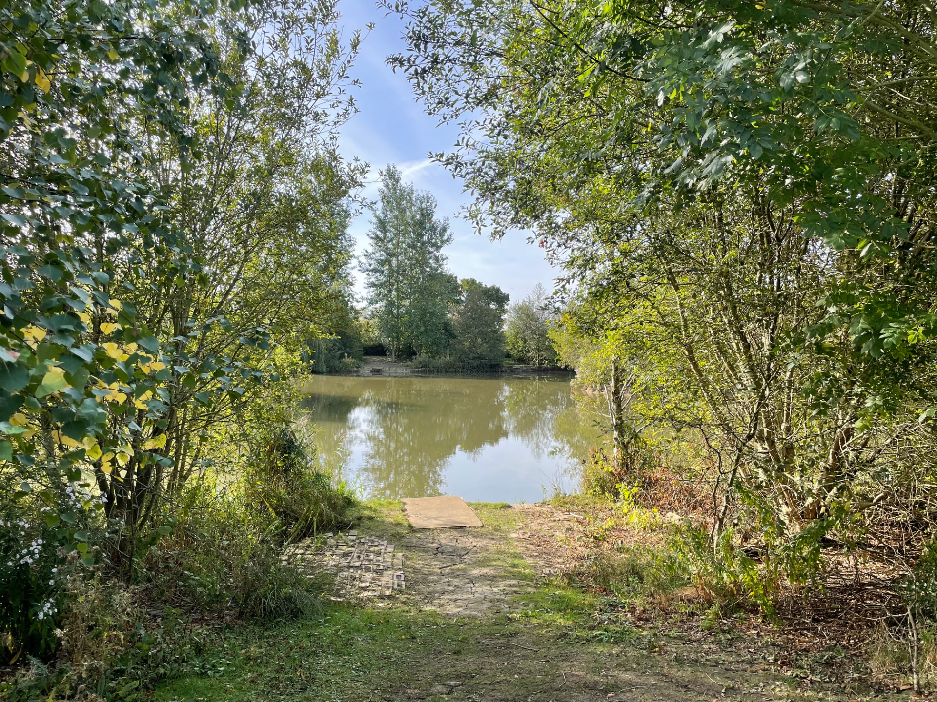 View through the trees across the lake at Alderwood Fishery