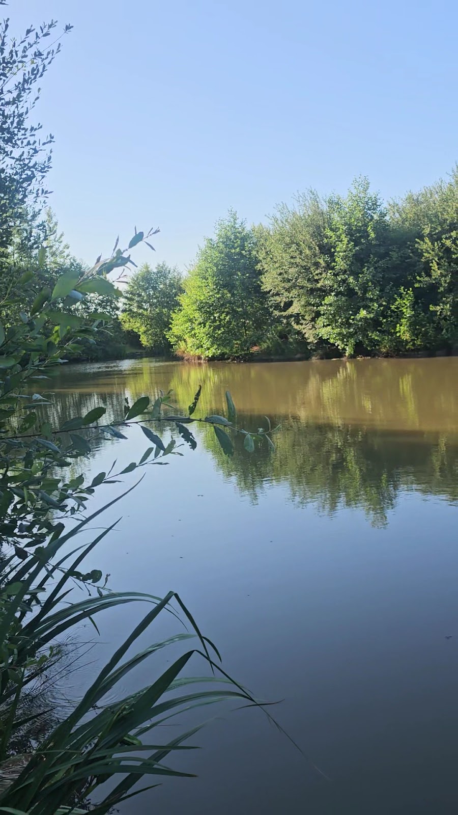 Calm summer water and green banks at Alderwood Fishery